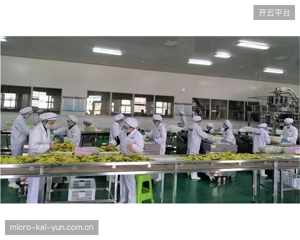 动态质量监控体系上线 实现制作全流程风险前置管控